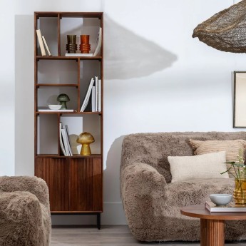 Bibliothéque 1 porte bois...